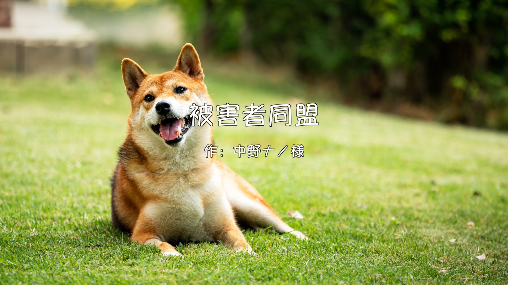 被害者同盟【小説家先生と奥さん】