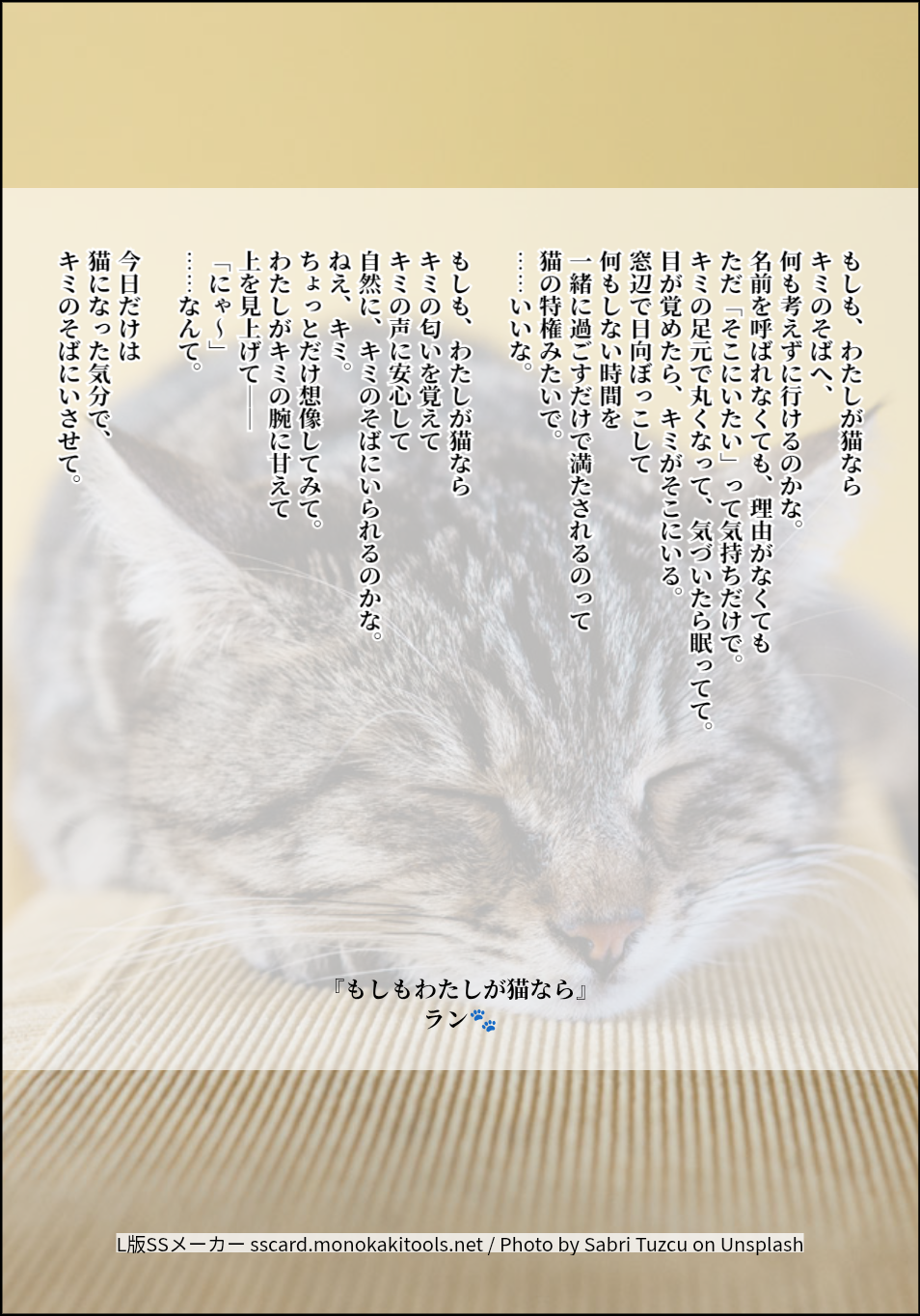 ラン🐾『もしもわたしが猫なら』  