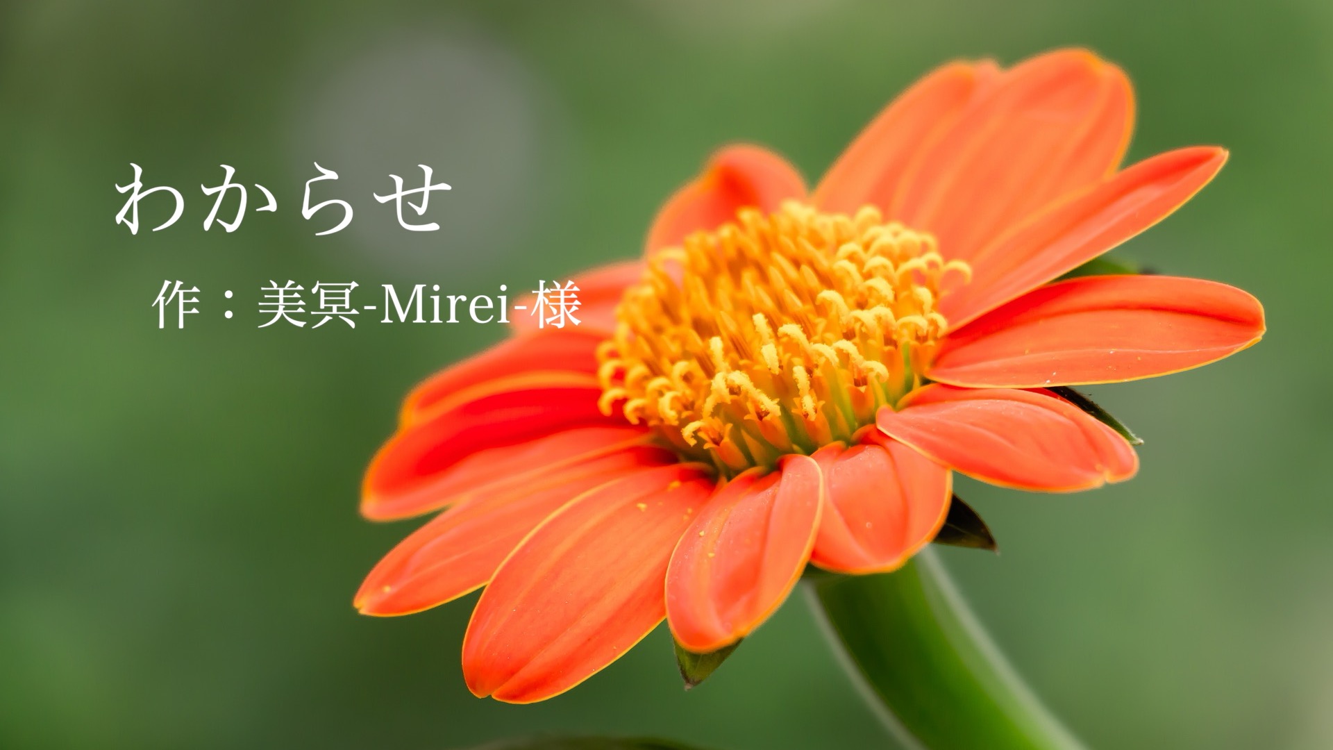 わからせ